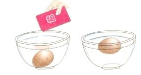 简单的儿童力学小实验：会漂浮的鸡蛋【浮力小实验原理】