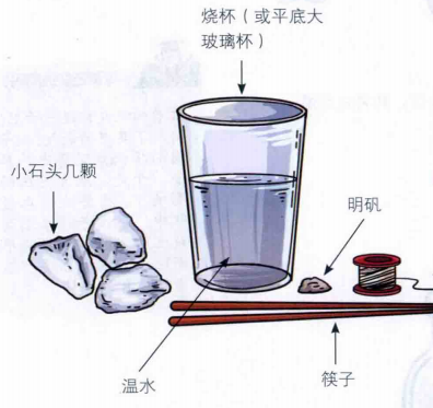 少儿科技小制作：可以培育出来的“水晶”——明矾的物理性质