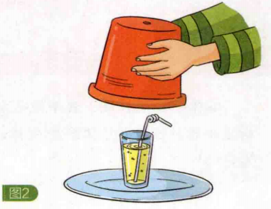 简单的生活科技小制作:制作神奇的花盆冰箱【汽化吸热的例子】插图1 简单的生活科技小制作:制作神奇的花盆冰箱【汽化吸热的例子】