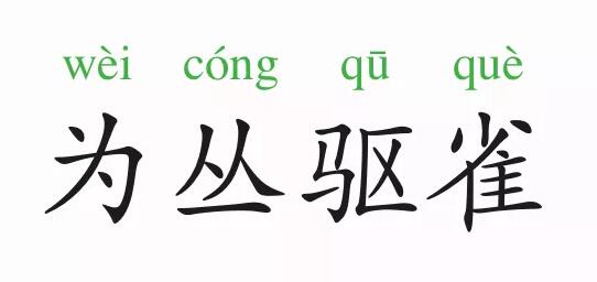 「成语故事」为丛驱雀插图 「成语故事」为丛驱雀