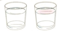 简单的儿童科学小实验:会漂浮的金属【水的张力小实验】