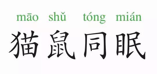 「成语故事」猫鼠同眠