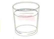 简单的儿童科学小实验:会漂浮的金属【水的张力小实验】插图1 简单的儿童科学小实验:会漂浮的金属【水的张力小实验】