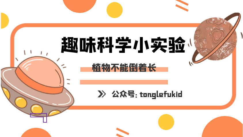 重力对植物生长的影响实验：植物不能倒着长