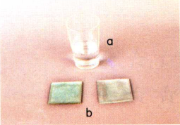 水的小实验:特殊的“玻璃胶”【水怎么将玻璃粘合】
