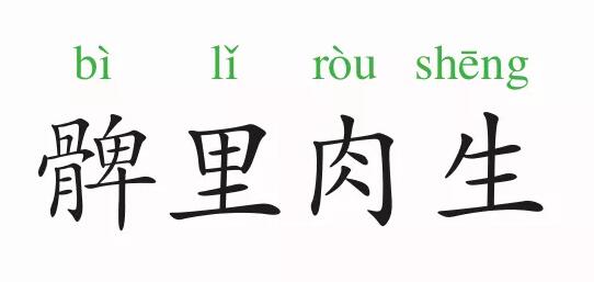 「成语故事」髀肉复生插图 「成语故事」髀肉复生