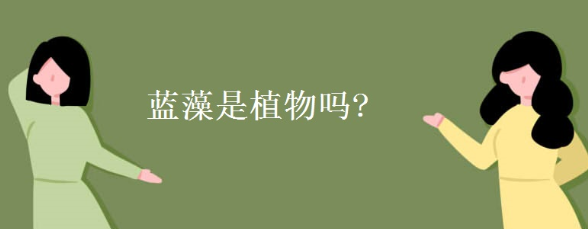 蓝藻知识科普:蓝藻是植物吗还是细菌?插图 蓝藻知识科普:蓝藻是植物吗还是细菌?