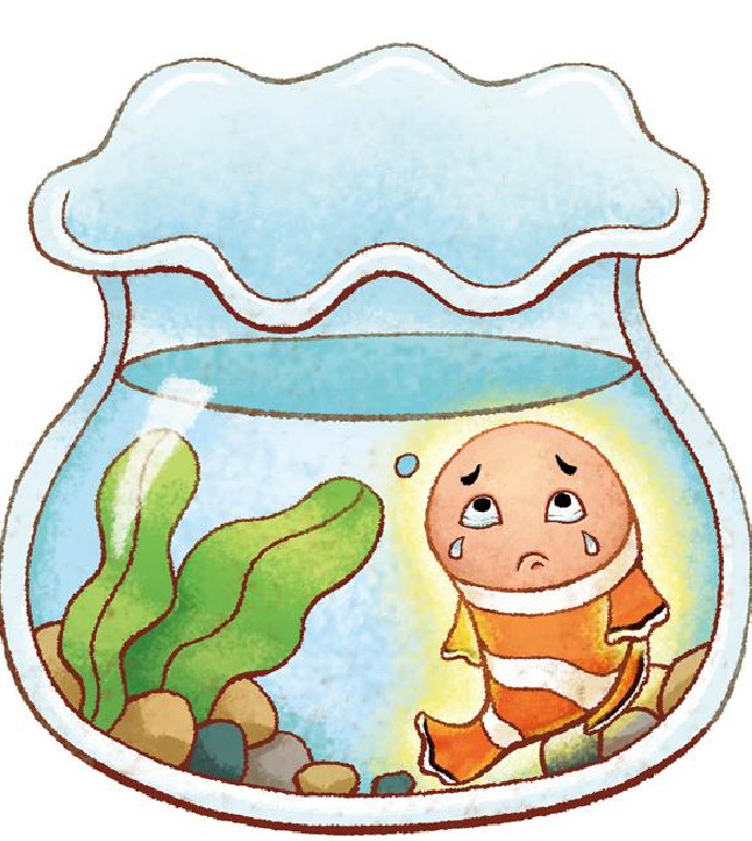 「晚安爸爸睡前故事」漂亮的小丑鱼插图 「晚安爸爸睡前故事」漂亮的小丑鱼