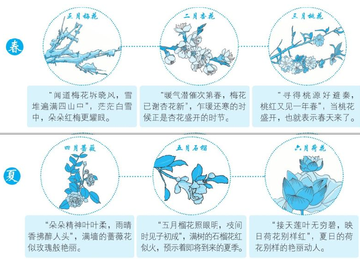 二十四节气和农历十二个月候应姊妹花(十二姊妹花歌谣)插图 二十四节气和农历十二个月候应姊妹花(十二姊妹花歌谣)