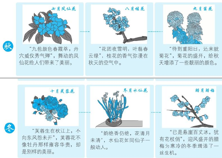 二十四节气和农历十二个月候应姊妹花(十二姊妹花歌谣)插图1 二十四节气和农历十二个月候应姊妹花(十二姊妹花歌谣)