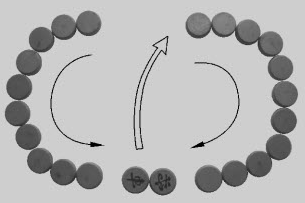 大班数学思维训练游戏：大数吃小数（提升运算能力）