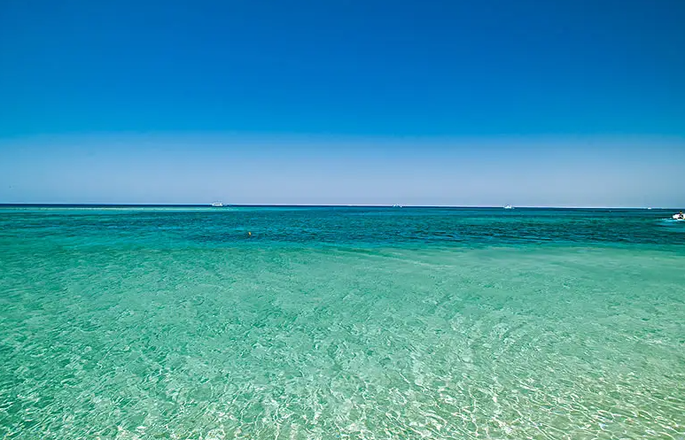 孩子想知道的海洋知识:红海真的能变成新大洋吗插图1 孩子想知道的海洋知识:红海真的能变成新大洋吗