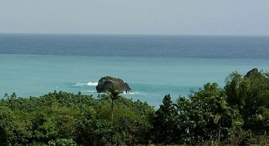 孩子想知道的海洋知识：黑潮之谜