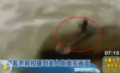 孩子想知道的海洋知识:世界上真的有美人鱼吗(美人鱼之谜)插图1 孩子想知道的海洋知识:世界上真的有美人鱼吗(美人鱼之谜)