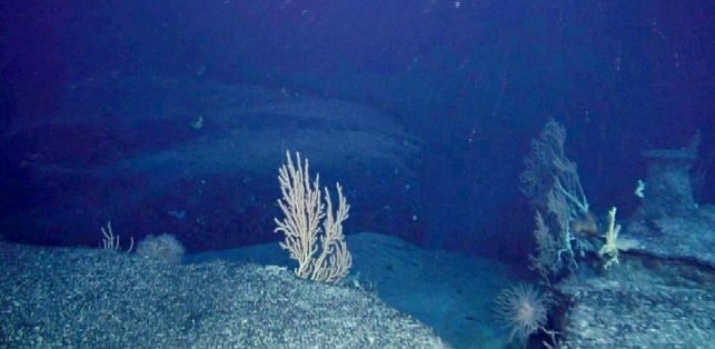 孩子想知道的海洋知识:海底古老岩石之谜插图1 孩子想知道的海洋知识:海底古老岩石之谜