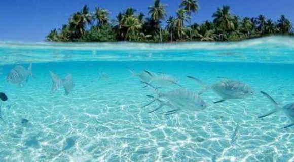 孩子想知道的海洋知识：海水是从哪里来的