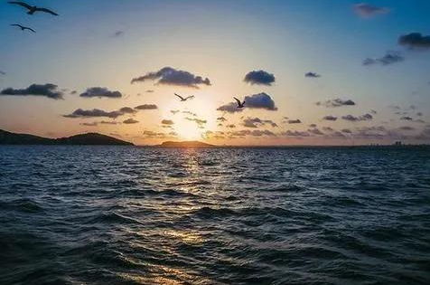 孩子想知道的海洋知识：海鸣是怎么回事