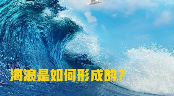 孩子想知道的海洋知识：海浪是怎么形成的？世界上最高的海浪在哪里？