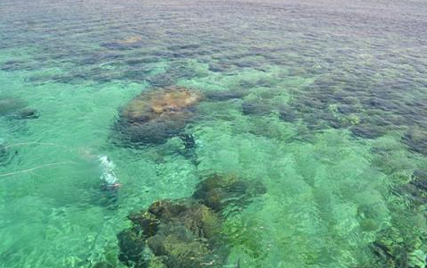 孩子想知道的海洋知识:海水“密度跃层”的探索