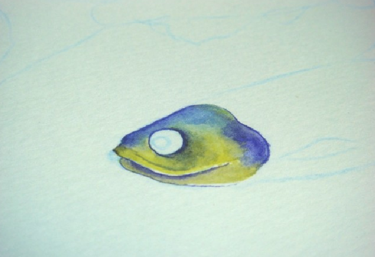 【儿童水彩画教程:海洋动物】斑马鱼插图4 【儿童水彩画教程:海洋动物】斑马鱼