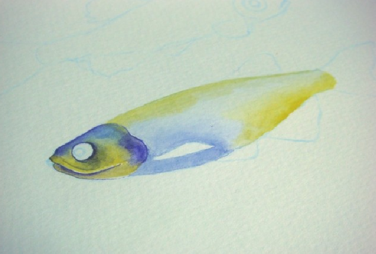 【儿童水彩画教程:海洋动物】斑马鱼插图5 【儿童水彩画教程:海洋动物】斑马鱼