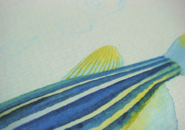 【儿童水彩画教程:海洋动物】斑马鱼插图10 【儿童水彩画教程:海洋动物】斑马鱼