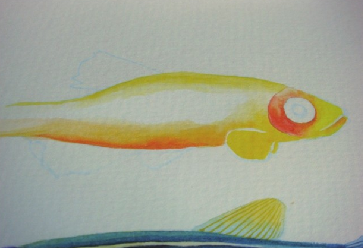 【儿童水彩画教程:海洋动物】斑马鱼插图15 【儿童水彩画教程:海洋动物】斑马鱼