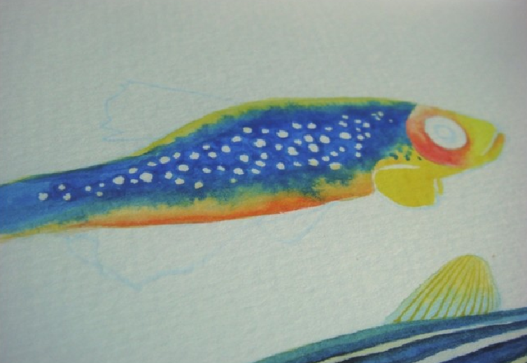 【儿童水彩画教程:海洋动物】斑马鱼插图16 【儿童水彩画教程:海洋动物】斑马鱼