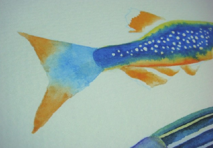 【儿童水彩画教程:海洋动物】斑马鱼插图17 【儿童水彩画教程:海洋动物】斑马鱼