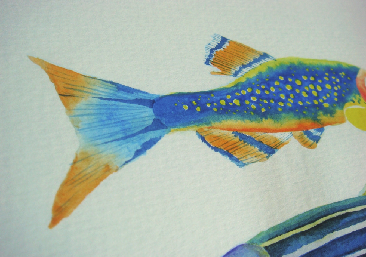 【儿童水彩画教程:海洋动物】斑马鱼插图19 【儿童水彩画教程:海洋动物】斑马鱼