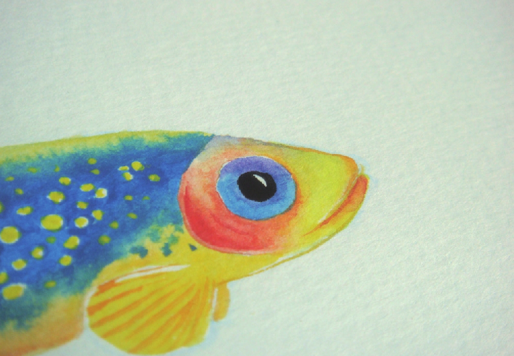 【儿童水彩画教程:海洋动物】斑马鱼插图20 【儿童水彩画教程:海洋动物】斑马鱼