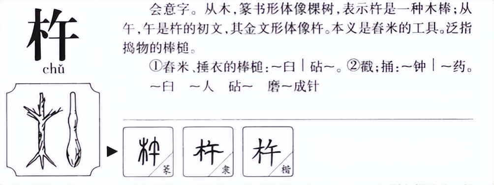 杵臼怎么读？杵臼的读音和意思