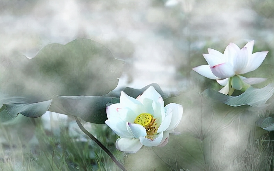 安身立命读音和意思