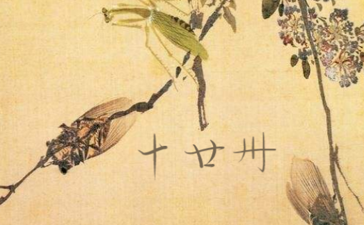 卄怎么读？卄的读音和意思