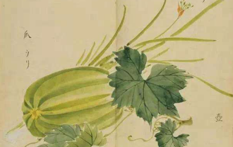 蓏怎么读？蓏的读音和意思