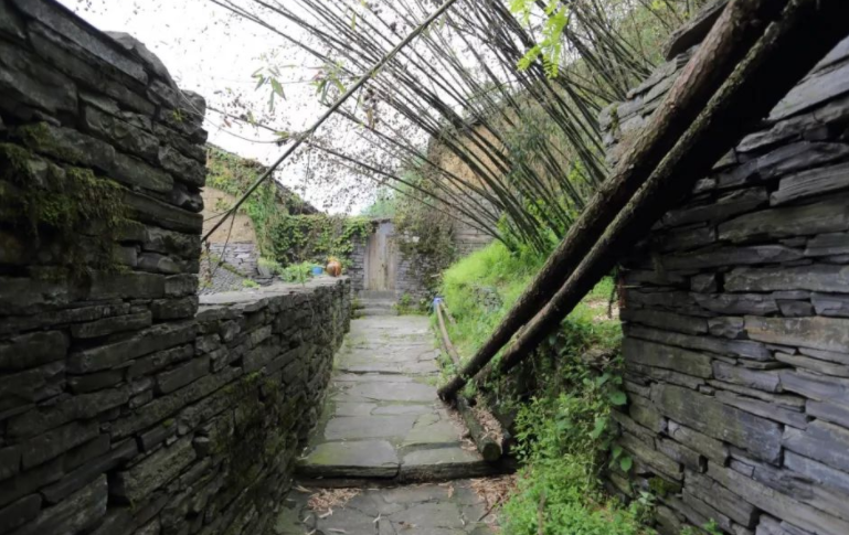 仄怎么读?仄的读音和意思插图2 仄怎么读?仄的读音和意思