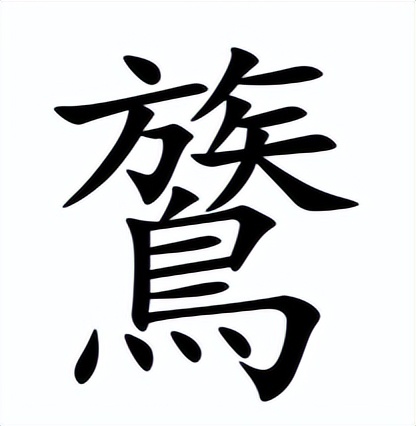 鷟怎么读？鷟的读音和意思