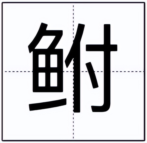 鲋怎么读?鲋的读音和意思插图 鲋怎么读?鲋的读音和意思