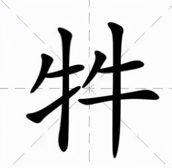 两个牛读什么字？“牛牪犇”你认识哪个？