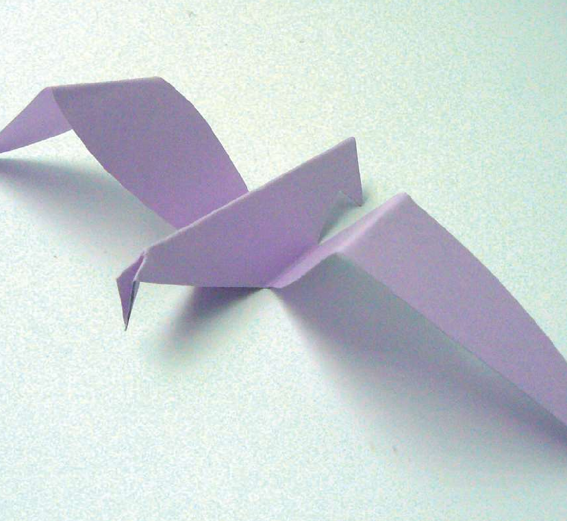 「儿童剪纸手工游戏：动物篇」：翱翔的海鸥剪纸，海鸥怎么剪？