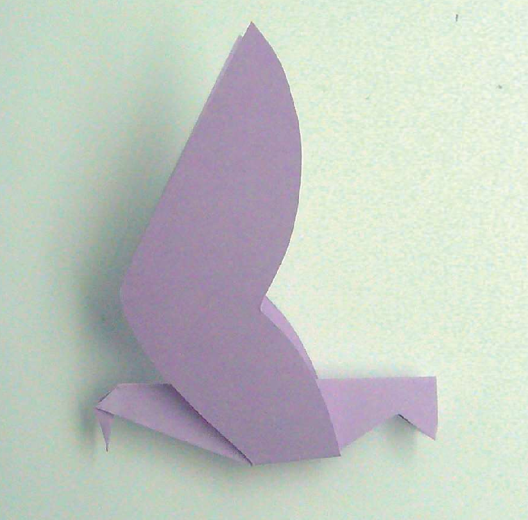 「儿童剪纸手工游戏：动物篇」：翱翔的海鸥剪纸，海鸥怎么剪？