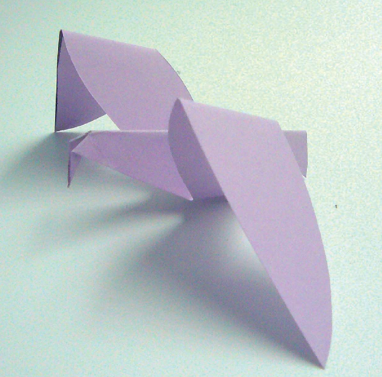 「儿童剪纸手工游戏：动物篇」：翱翔的海鸥剪纸，海鸥怎么剪？