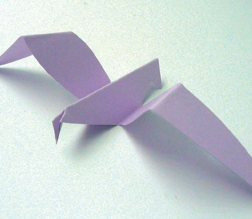 「儿童剪纸手工游戏：动物篇」：翱翔的海鸥剪纸，海鸥怎么剪？