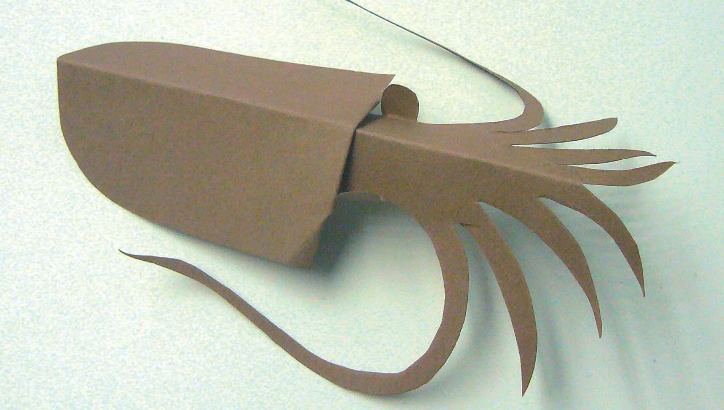 「儿童剪纸手工游戏：动物篇」：乌贼剪纸，乌贼怎么剪？