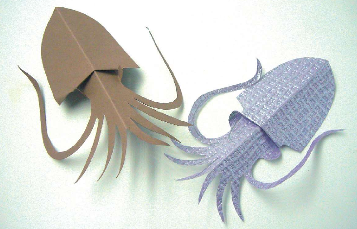 「儿童剪纸手工游戏：动物篇」：乌贼剪纸，乌贼怎么剪？