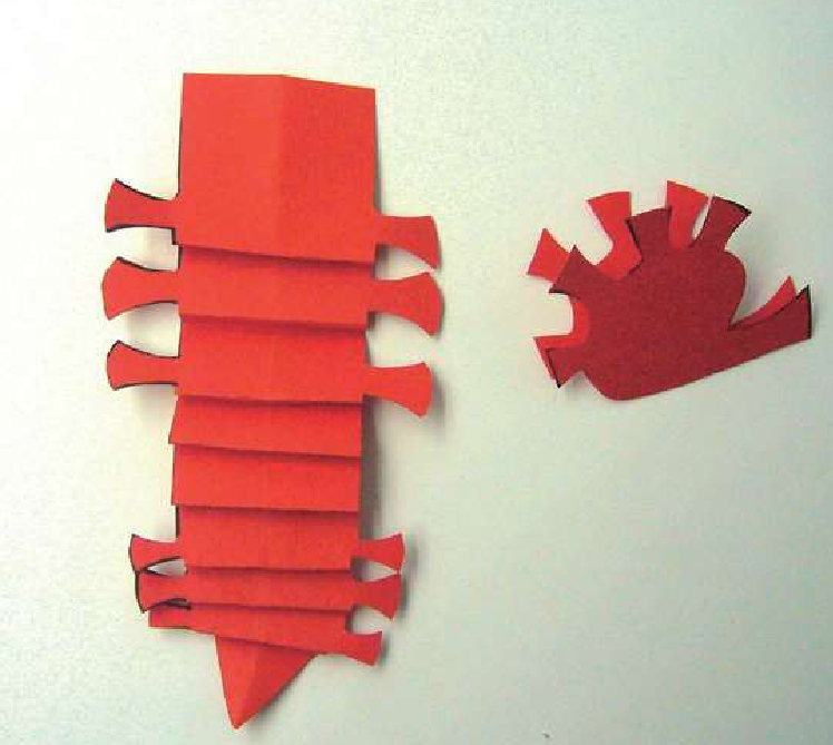 「儿童剪纸手工游戏:动物篇」:海马剪纸,海马怎么剪?插图5 「儿童剪纸手工游戏:动物篇」:海马剪纸,海马怎么剪?