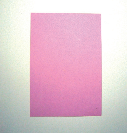 「儿童剪纸手工游戏:动物篇」:可爱的小猫咪剪纸,小猫咪怎么剪?插图8 「儿童剪纸手工游戏:动物篇」:可爱的小猫咪剪纸,小猫咪怎么剪?