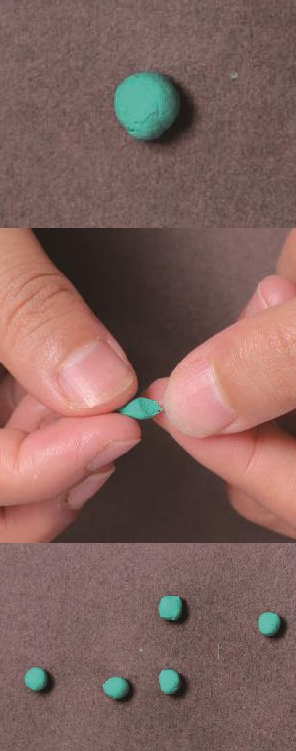 「儿童超轻粘土制作教程:蔬菜篇」新鲜的番茄插图5 「儿童超轻粘土制作教程:蔬菜篇」新鲜的番茄