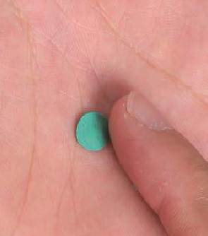 「儿童超轻粘土制作教程：蔬菜篇」可爱的南瓜