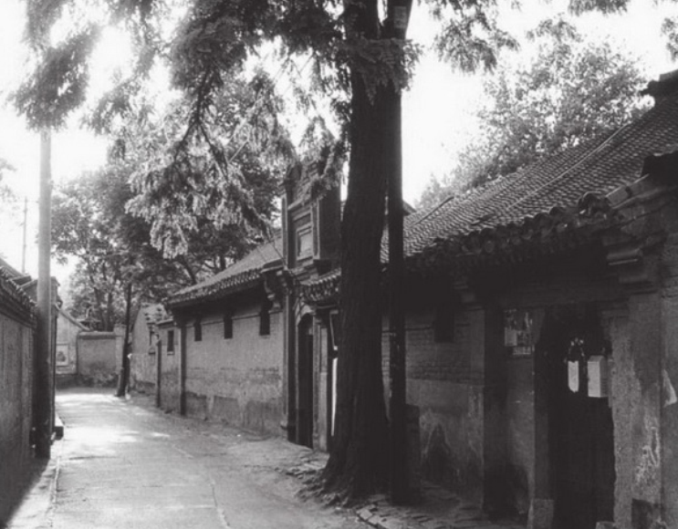 「中华文化：园林建筑篇」胡同的由来与历史：胡同和蒙古语中的“水井”发音相同，北京胡同与水井有什么关系吗？